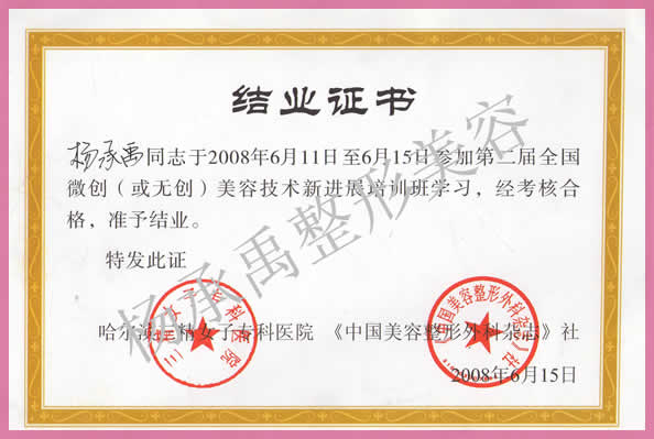 2008ȫڶ΢ݼ½չѧϰ